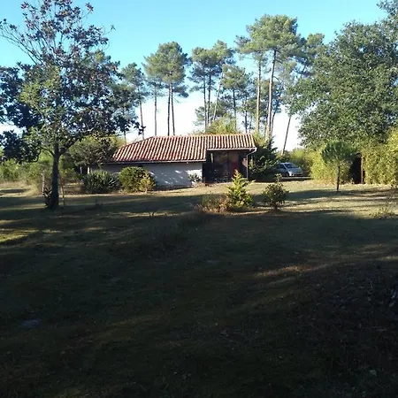 Maison Confortable Avec Terrasse En Bois Au Calme Sans Vis A Vis , 2 Chambres, Sur Un Parc De 4000m2 Arbore Et Clos